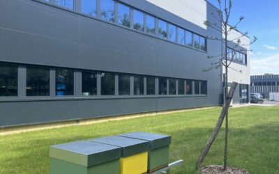 Notre démarche environnementale : vers une industrie plus verte