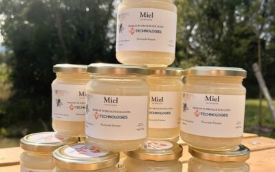 Notre première récolte de miel : une aventure locale et engagée !