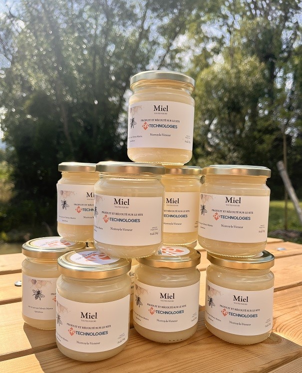 Notre 1ère récolte de miel